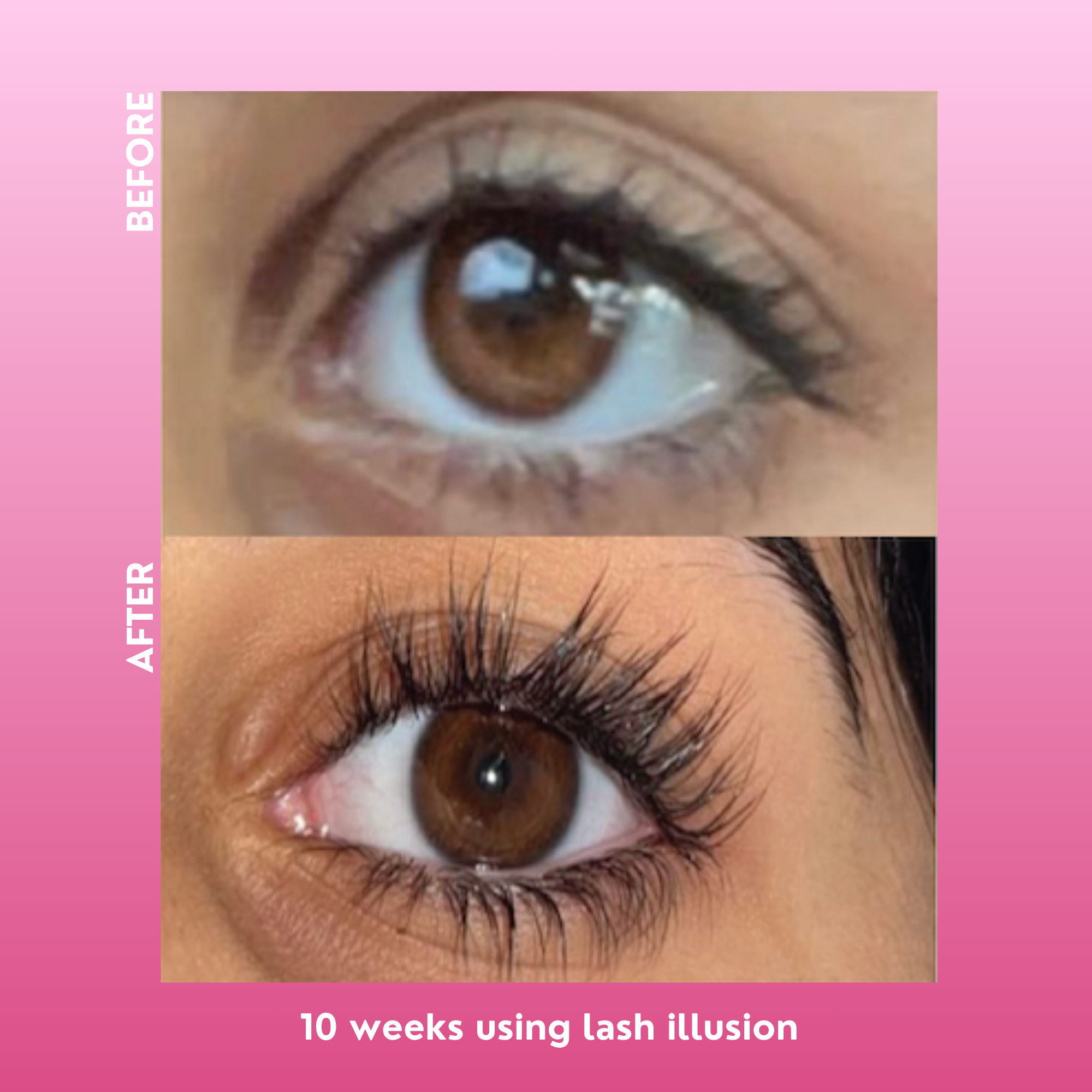 lash illusion eyelash serum