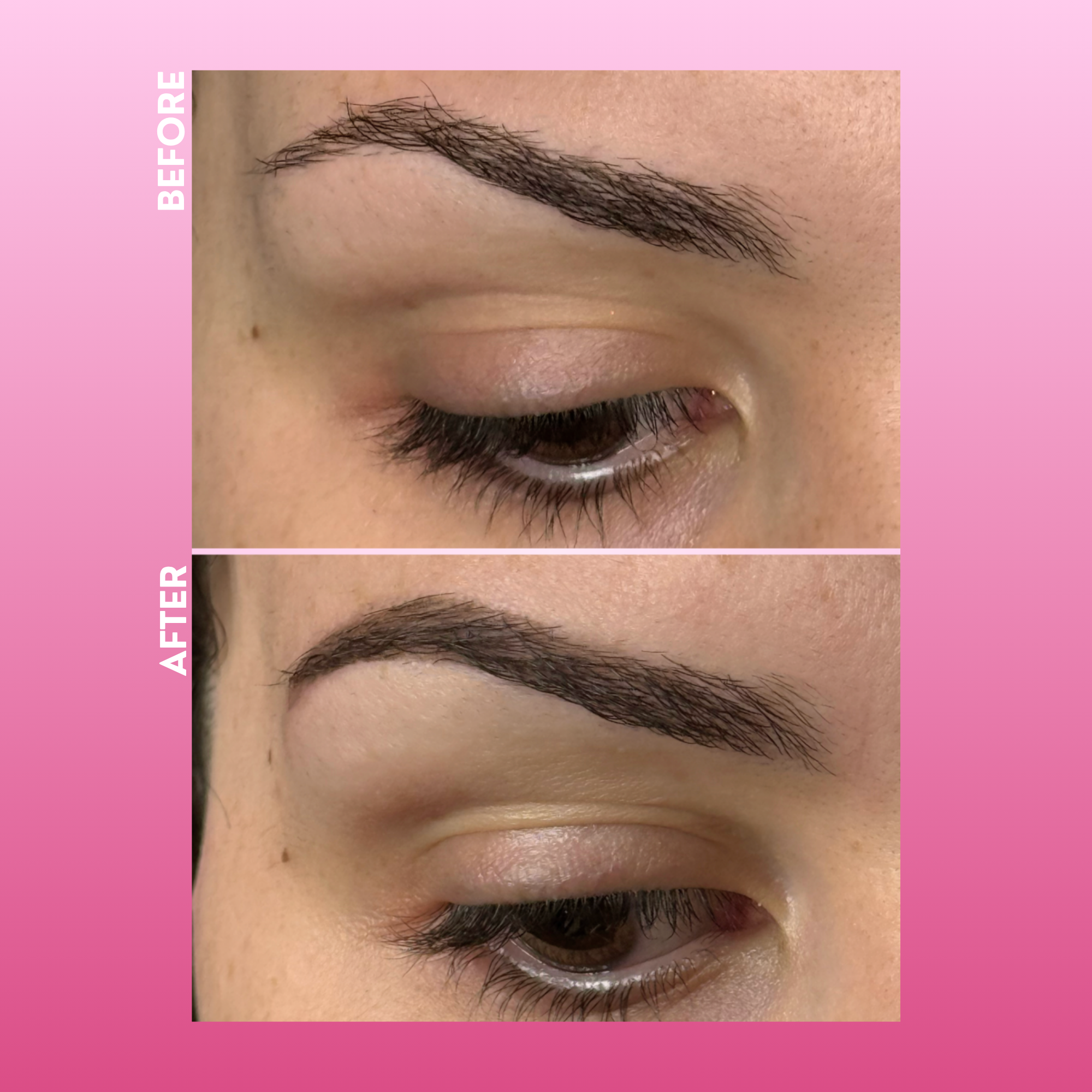 Instant Brow Stamp Kit